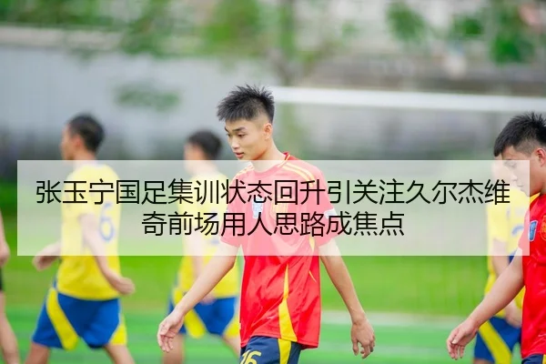 张玉宁国足集训状态回升引关注久尔杰维奇前场用人思路成焦点